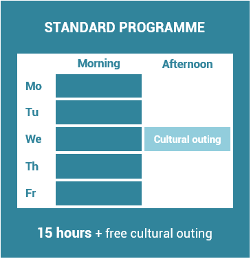 Standard Program - French in Paris