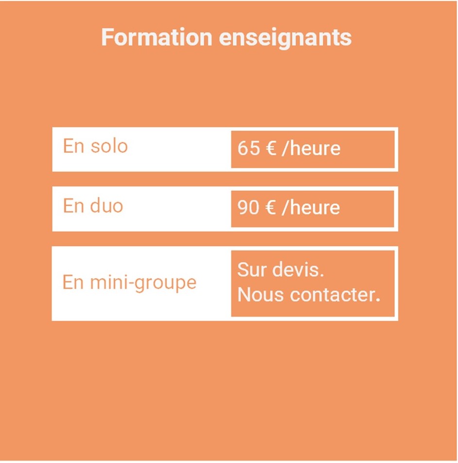 Formation en ligne professeurs de français