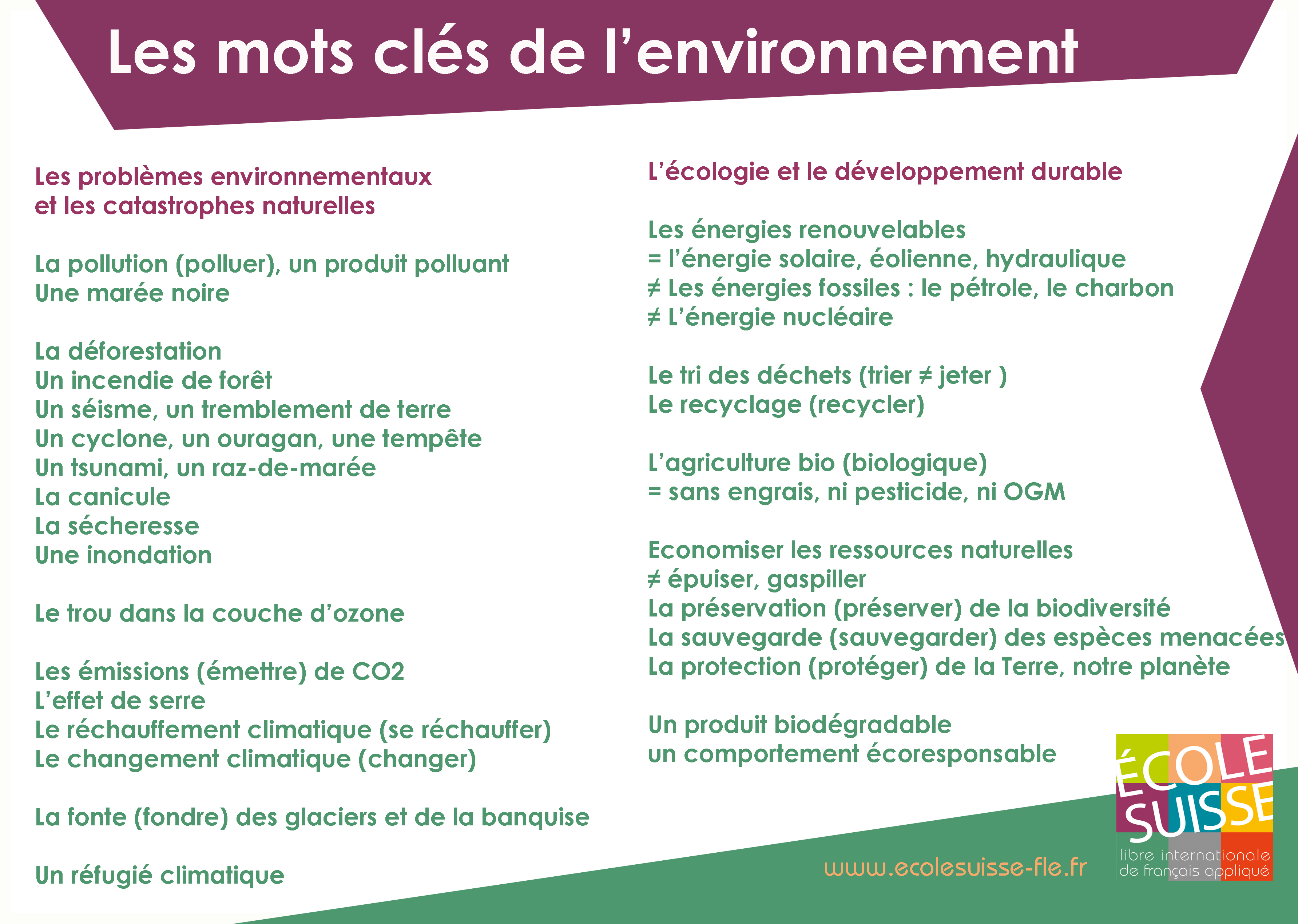 Vocabulaire français : mots clés de l'environnement