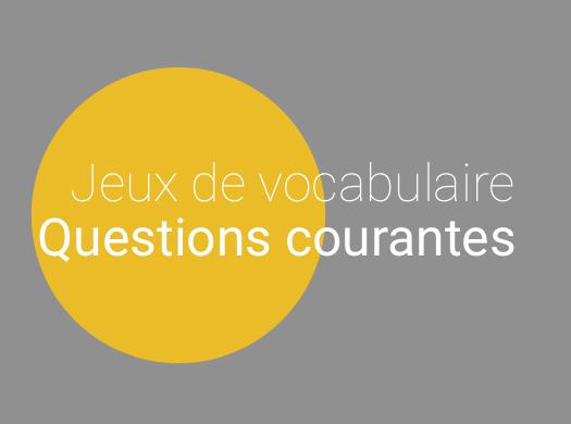 Jeu de vocabulaire français : les questions courantes